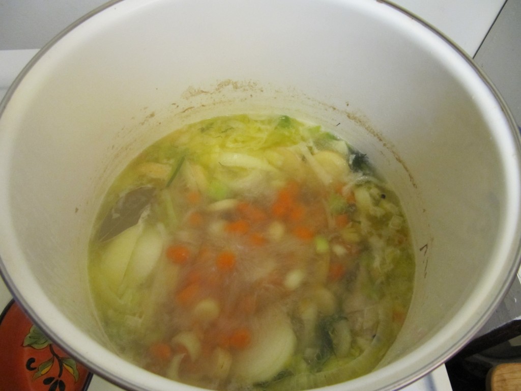 Dahlia's Chicken Soup Recipe